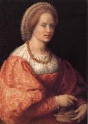 Andrea del Sarto Portrait of woman Holding basket oil on canvas